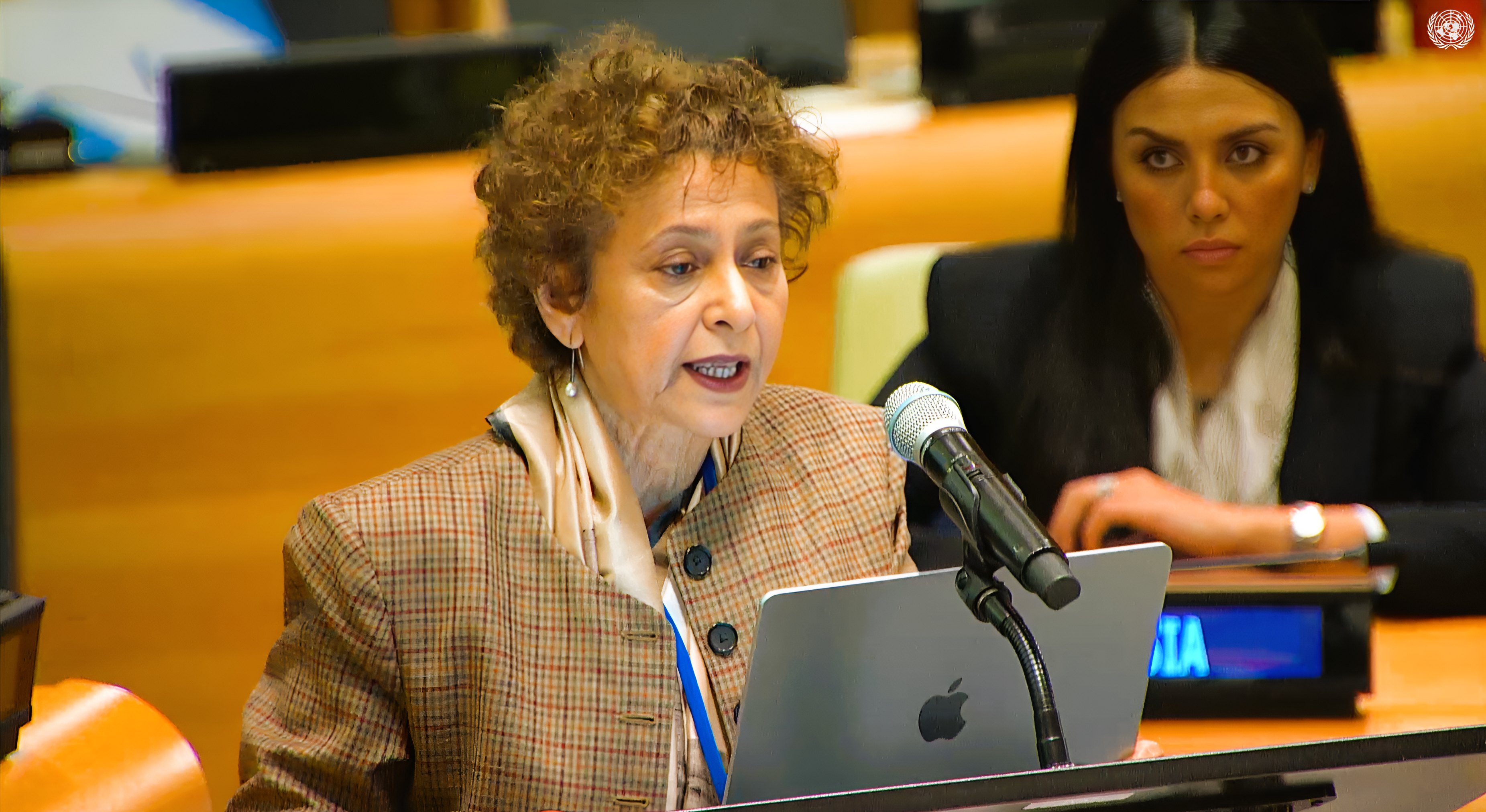 The world is far from fulfilling the promise of ending racial discrimination: Ambassador Irene Khan
