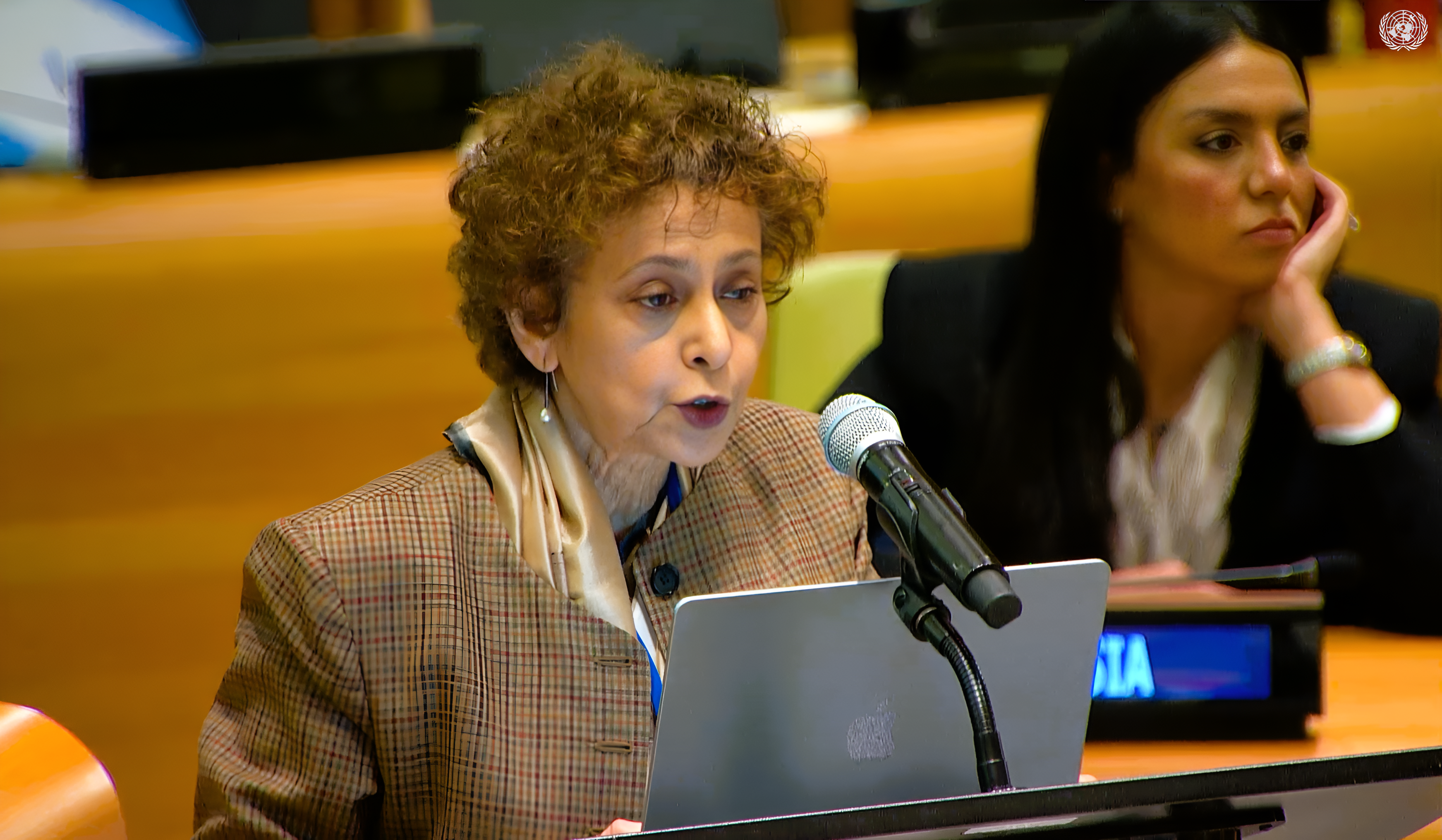 The world is far from fulfilling the promise of ending racial discrimination: Ambassador Irene Khan